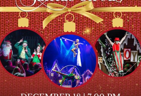 Santa's Circus